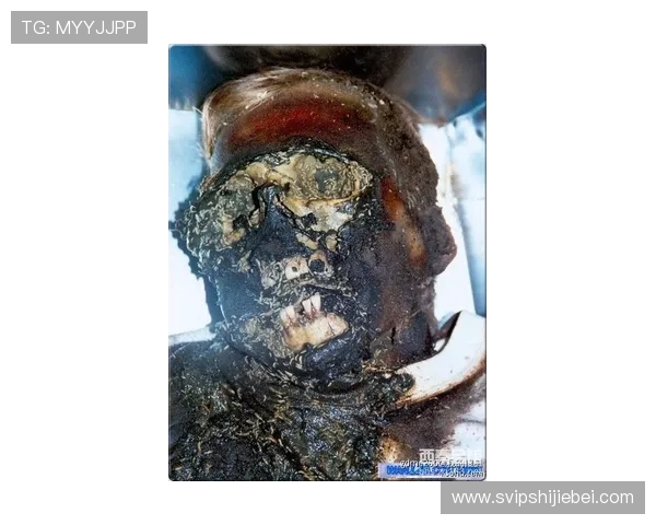 2023世界杯球队排名一览表全景展示,助你掌握各队最新排名动态与未来走势预测