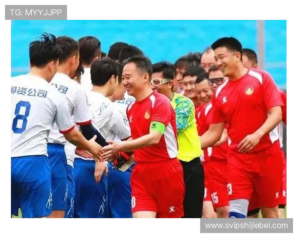 世界杯预选赛规则图解详细解析帮助你全面理解比赛资格获取流程